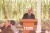 El ministro, José Ramón Cossío, profesor del Departamento Académico de Derecho del ITAM, en el 35 aniversario de la Licenciatura en Derecho El ministro, José Ramón Cossío, profesor del Departamento Académico de Derecho del ITAM, en el 35 aniversario de la Licenciatura en Derecho